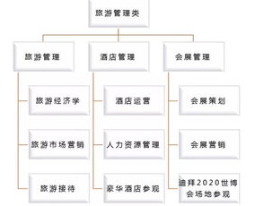 2020寒假旅游文化酒店管理项目 探索与成长的旅程