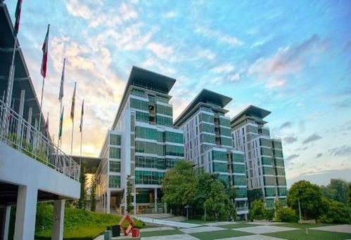 深耕酒店行业，攀登学术高峰 泰莱大学酒店管理博士专业深度解析